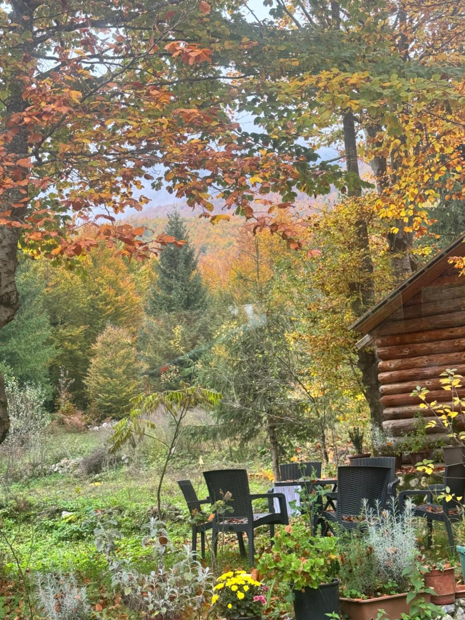 Guest House Hyrmet Demushi Valbone Zewnętrze zdjęcie
