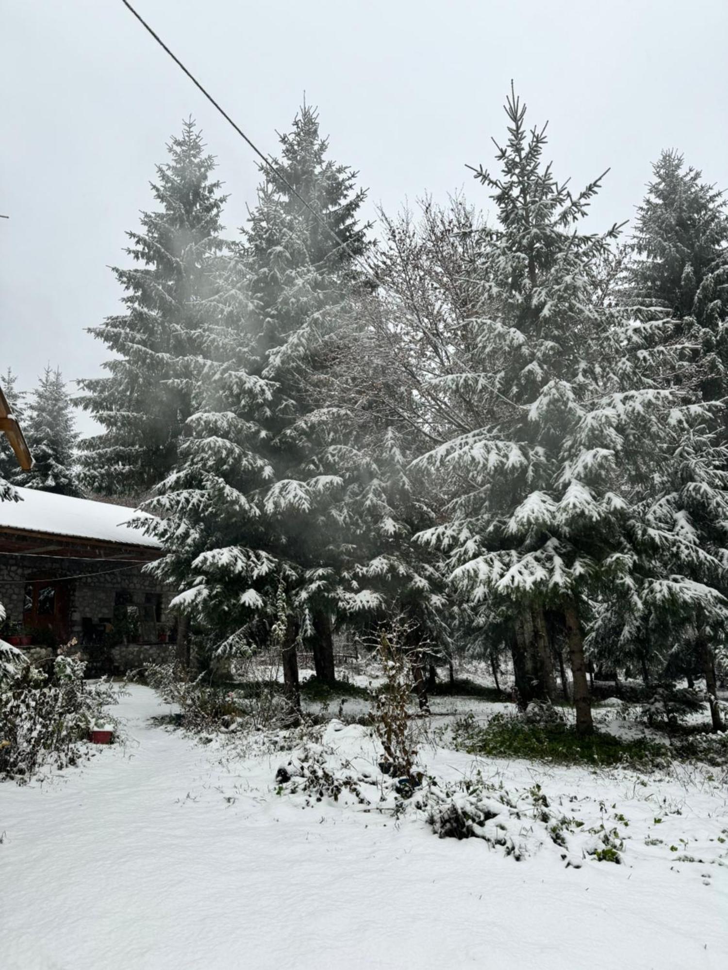 Guest House Hyrmet Demushi Valbone Zewnętrze zdjęcie