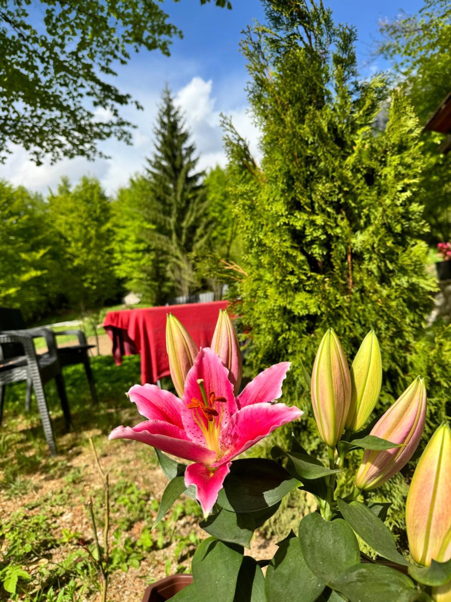 Guest House Hyrmet Demushi Valbone Zewnętrze zdjęcie